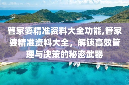 管家婆精准资料大全功能,管家婆精准资料大全，解锁高效管理与决策的秘密武器