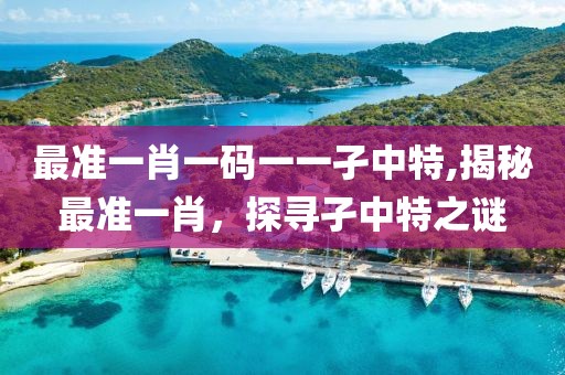 最准一肖一码一一孑中特,揭秘最准一肖，探寻孑中特之谜