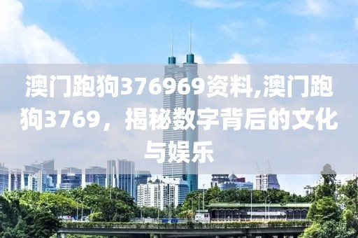 澳门跑狗376969资料,澳门跑狗3769，揭秘数字背后的文化与娱乐