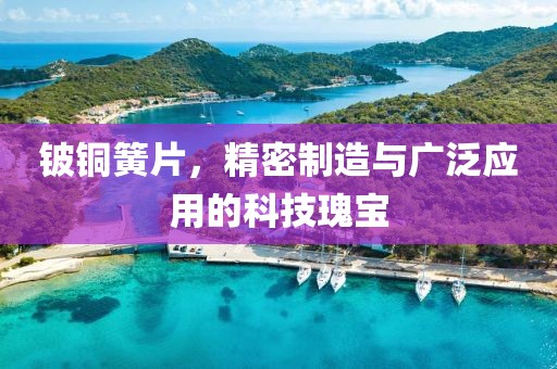 铍铜簧片，精密制造与广泛应用的科技瑰宝