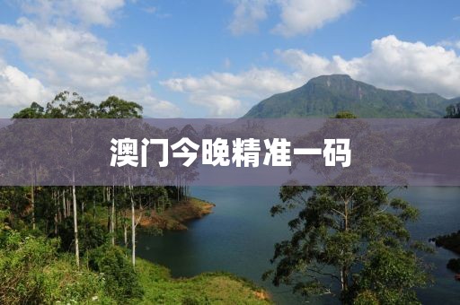 澳门今晚精准一码