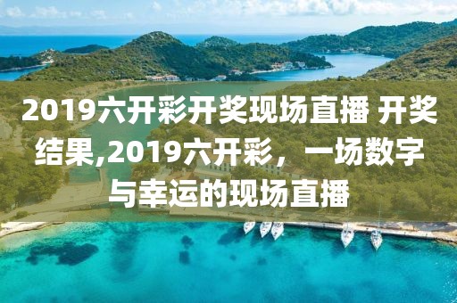 2019六开彩开奖现场直播 开奖结果,2019六开彩，一场数字与幸运的现场直播
