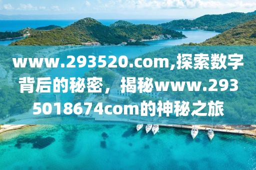 www.293520.com,探索数字背后的秘密，揭秘www.2935018674com的神秘之旅