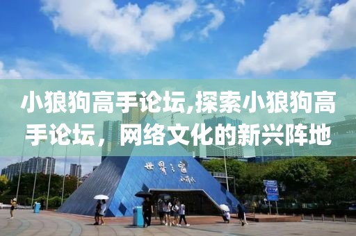 小狼狗高手论坛,探索小狼狗高手论坛，网络文化的新兴阵地
