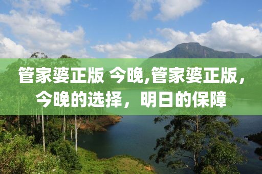 管家婆正版 今晚,管家婆正版，今晚的选择，明日的保障