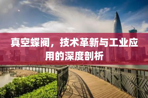 真空蝶阀，技术革新与工业应用的深度剖析