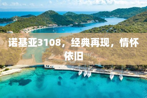 诺基亚3108，经典再现，情怀依旧