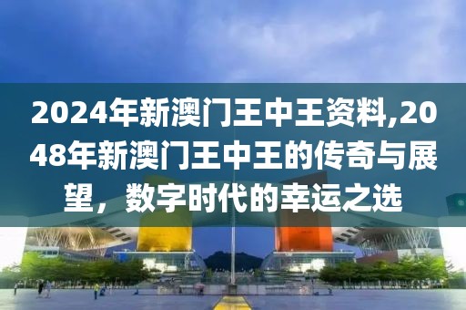 2048年新澳门王中王的传奇