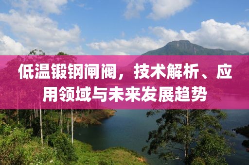低温锻钢闸阀，技术解析、应用领域与未来发展趋势