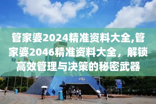 管家婆2024精准资料大全,管家婆2046精准资料大全，解锁高效管理与决策的秘密武器
