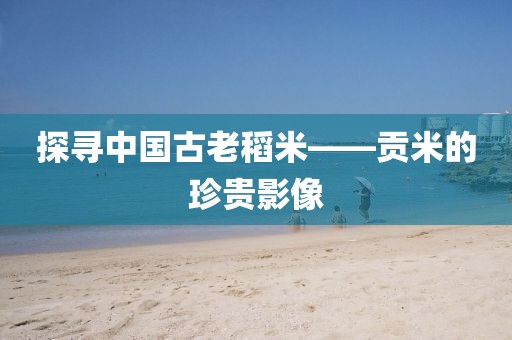 探寻中国古老稻米——贡米的珍贵影像