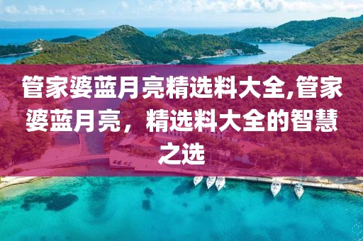 管家婆蓝月亮