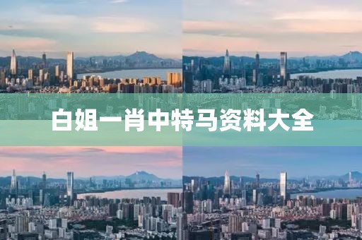 白姐一肖中特马资料大全