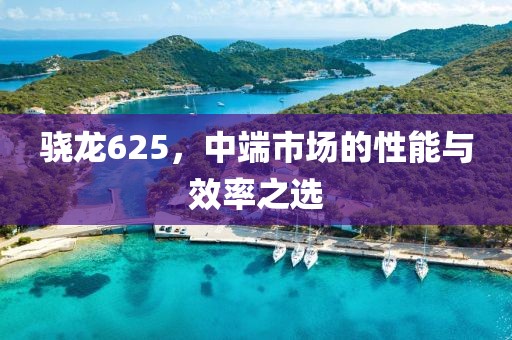 2025年3月 第543页