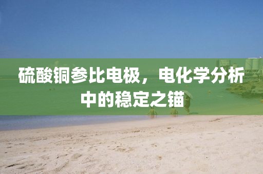 硫酸铜参比电极，电化学分析中的稳定之锚