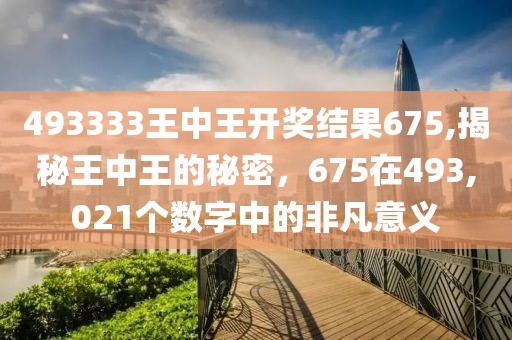 493333王中王开奖结果675,揭秘王中王的秘密，675在493,021个数字中的非凡意义