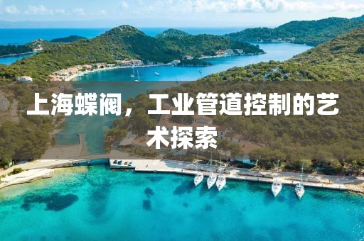 上海蝶阀，工业管道控制的艺术探索