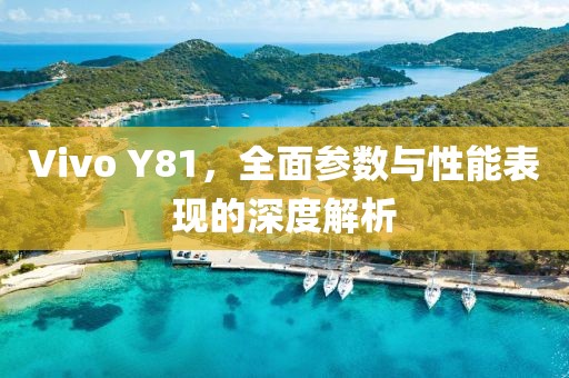 Vivo Y81，全面参数与性能表现的深度解析