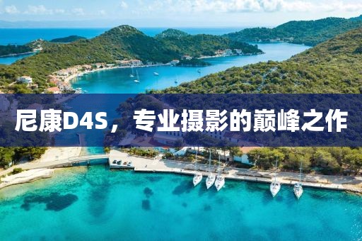 尼康D4S，专业摄影的巅峰之作