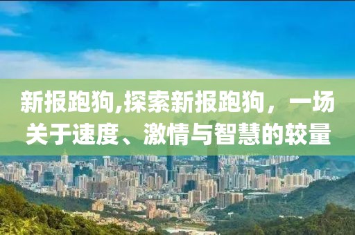 新报跑狗,探索新报跑狗，一场关于速度、激情与智慧的较量