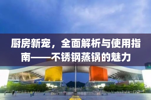 厨房新宠，全面解析与使用指南——不锈钢蒸锅的魅力