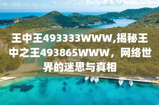 王中王493333WWW,揭秘王中之王493865WWW，网络世界的迷思与真相