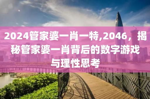 2024管家婆一肖一特,2046，揭秘管家婆一肖背后的数字游戏与理性思考