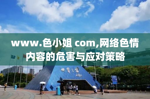 www.色小姐 com,网络色情内容的危害与应对策略