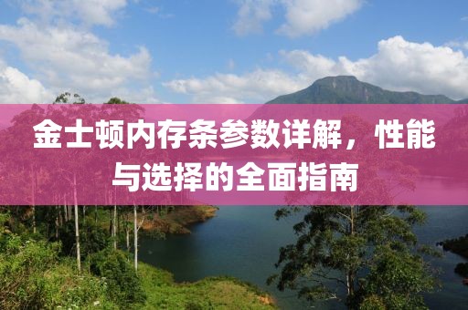 金士顿内存条参数详解，性能与选择的全面指南