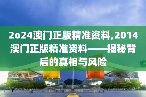 2o24澳门正版精准资料,2014澳门正版精准资料——揭秘背后的真相与风险