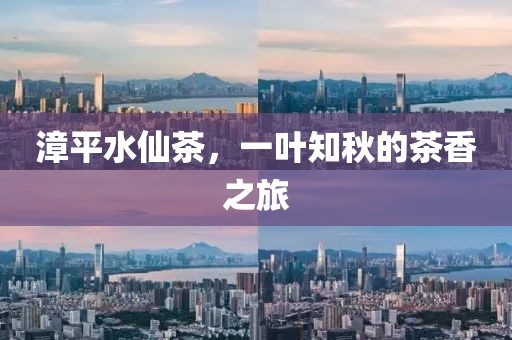 漳平水仙茶，一叶知秋的茶香之旅