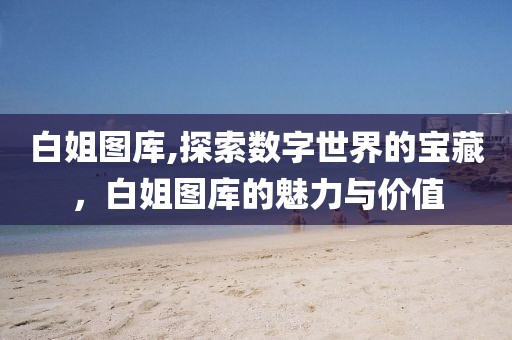 白姐图库,探索数字世界的宝藏，白姐图库的魅力与价值