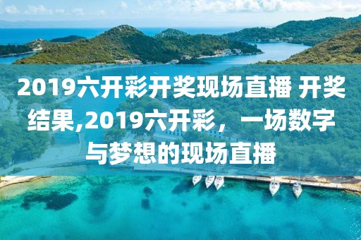2019六开彩开奖现场直播 开奖结果,2019六开彩，一场数字与梦想的现场直播