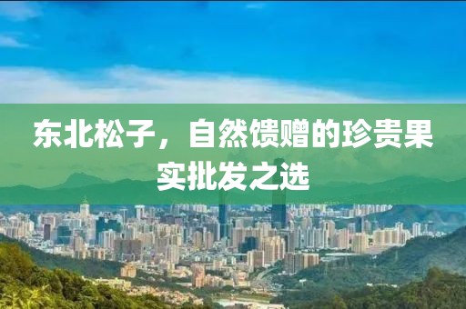 东北松子，自然馈赠的珍贵果实批发之选