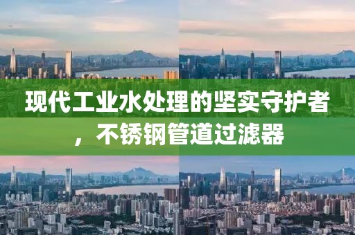 不锈钢管道过滤器