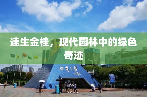 速生金桂，现代园林中的绿色奇迹