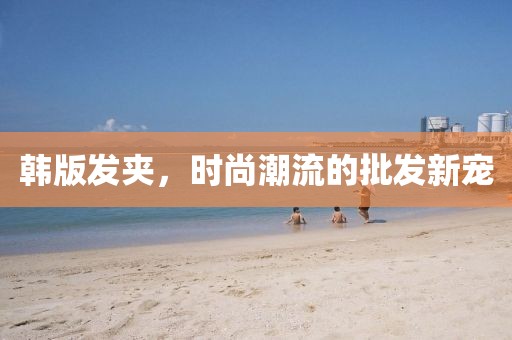 韩版发夹，时尚潮流的批发新宠