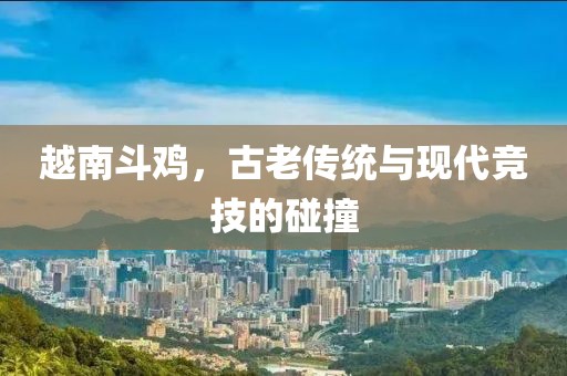 越南斗鸡，古老传统与现代竞技的碰撞