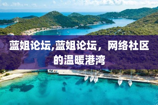 蓝姐论坛,蓝姐论坛，网络社区的温暖港湾