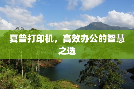 夏普打印机，高效办公的智慧之选