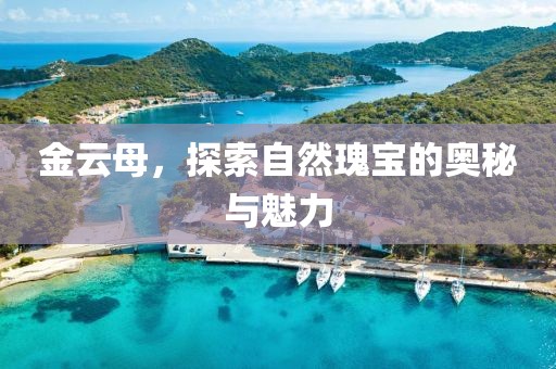 自然探索