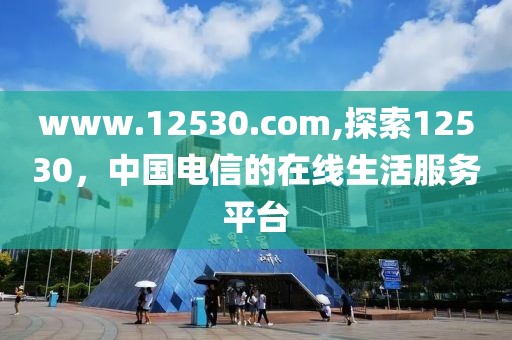 www.12530.com,探索12530，中国电信的在线生活服务平台