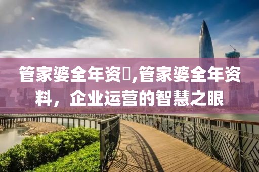 管家婆全年资枓,管家婆全年资料，企业运营的智慧之眼