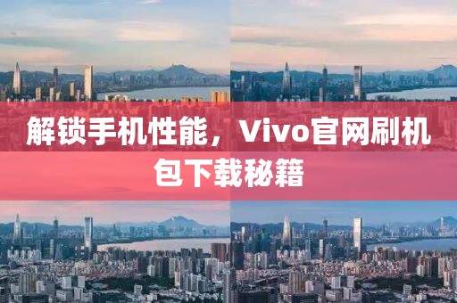 解锁手机性能，Vivo官网刷机包下载秘籍