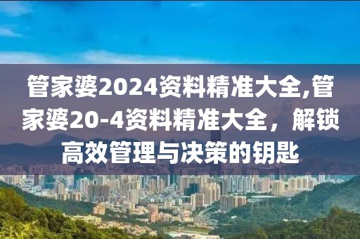 管家婆2024资料精准大全,管家婆20-4资料精准大全，解锁高效管理与决策的钥匙