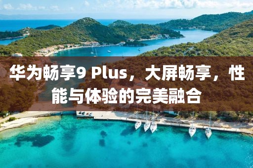 华为畅享9 Plus，大屏畅享，性能与体验的完美融合