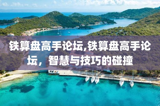 铁算盘高手论坛,铁算盘高手论坛，智慧与技巧的碰撞