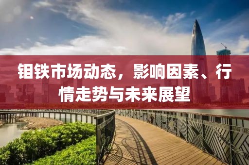 钼铁市场动态，影响因素、行情走势与未来展望