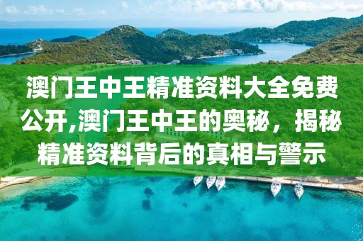 澳门王中王精准资料大全免费公开,澳门王中王的奥秘，揭秘精准资料背后的真相与警示