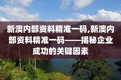 新澳内部资料